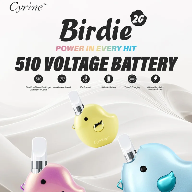 CYRINE BIRDIE 2G 510 ADJUSTABLE VOLTAGE BATTERY MYSTERY BOX