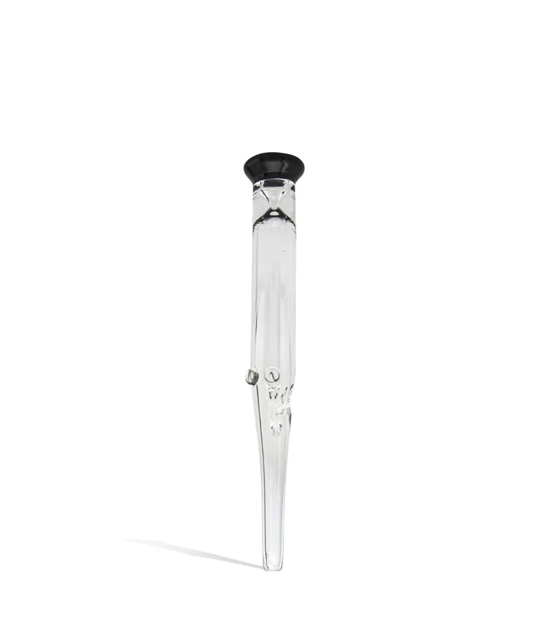 Glass Nectar Straw with Colored Mouthpiece
