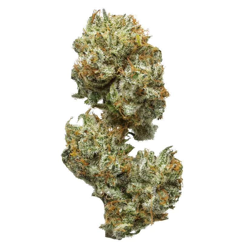 Tennessee Moonshine CBD THCa Flower